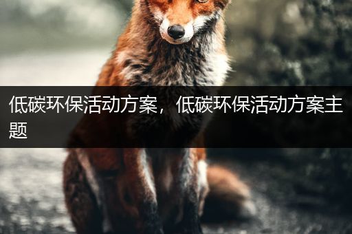 低碳环保活动方案，低碳环保活动方案主题