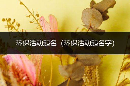 环保活动起名（环保活动起名字）