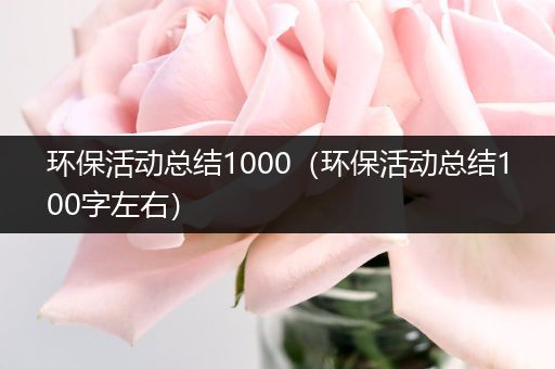 环保活动总结1000（环保活动总结100字左右）